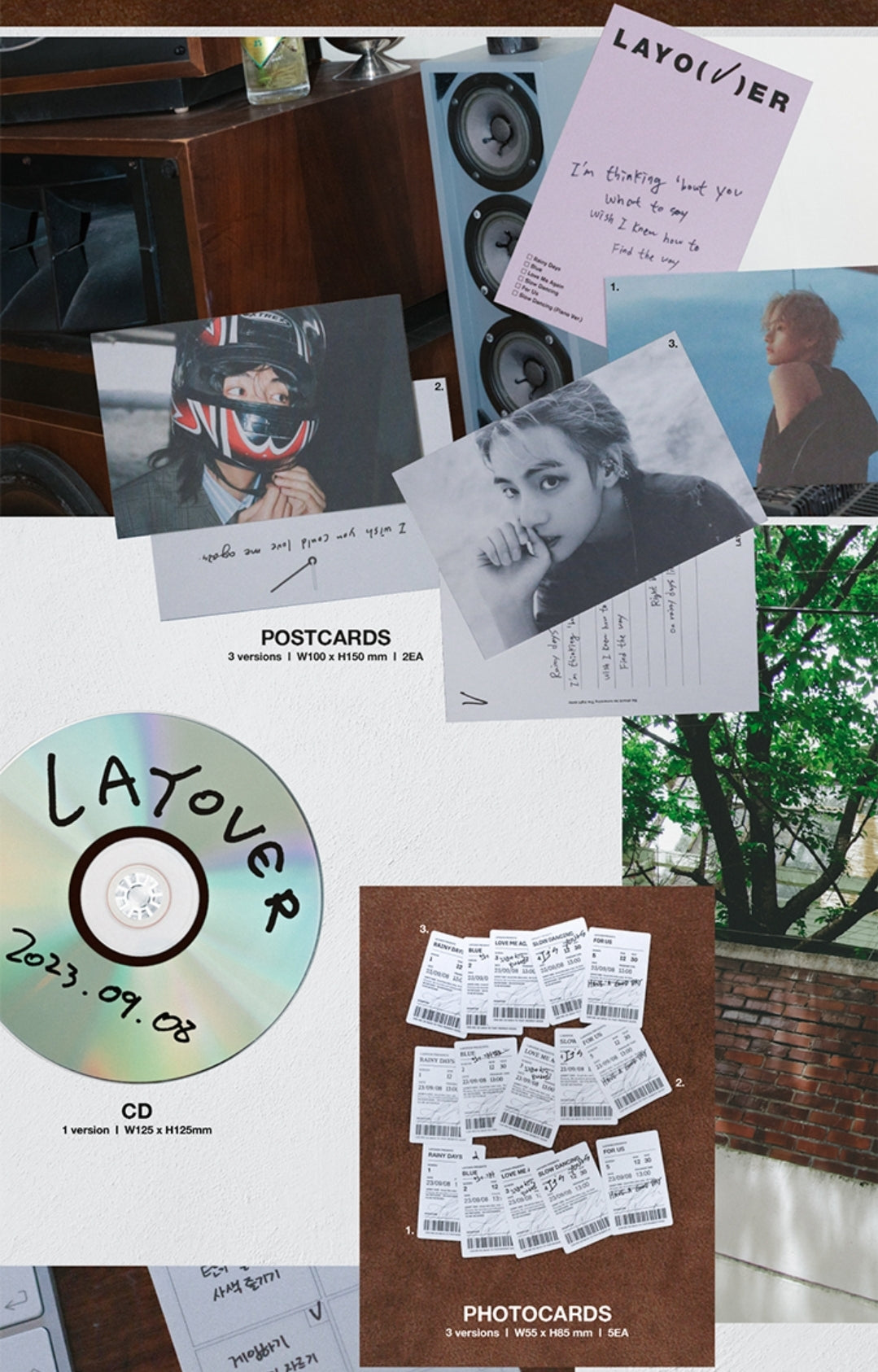 Layover - V (BTS)